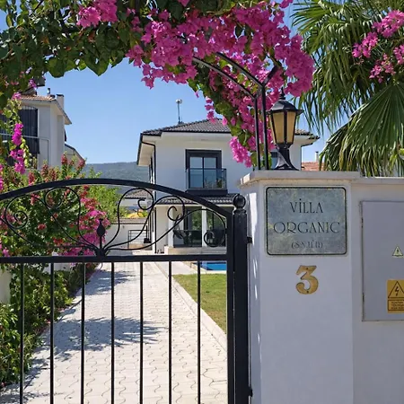 Organic - 6 Person Private Luxury *