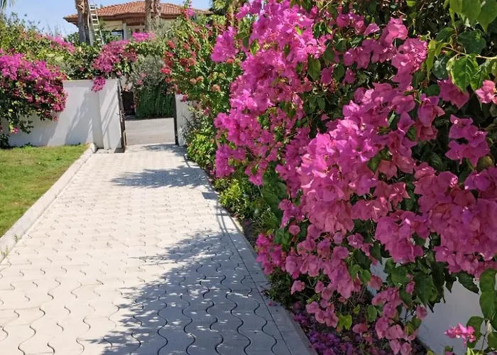 Vila Organic - 6 Person Private Luxury Dalyan