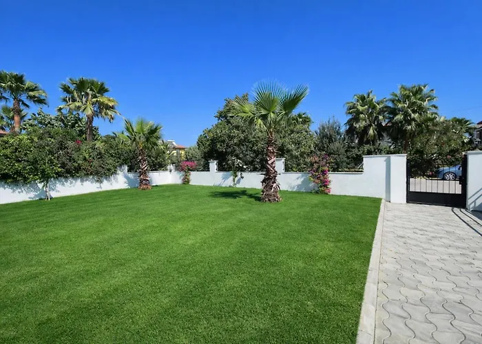 Organic - 6 Person Private Luxury Vila