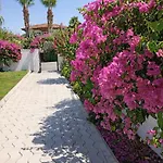 Villa Organic - 6 Person Private Luxury Dalyan